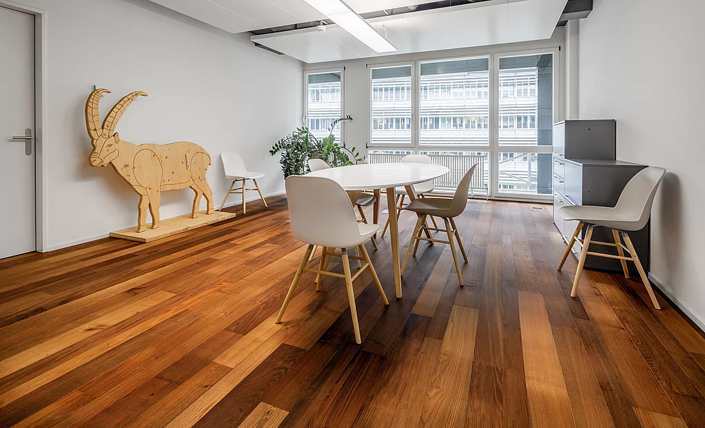 Ticinoro ORIGINALE Terra, Surface de bureaux Zürich