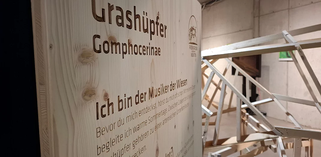 Wenn kleine Tiere ganz gross herauskommen Wenn kleine Tiere ganz gross herauskommen